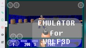 WOLFEN 3D (DOS Player) screenshot 2