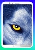 Wolf Wallpapers 4K screenshot 7