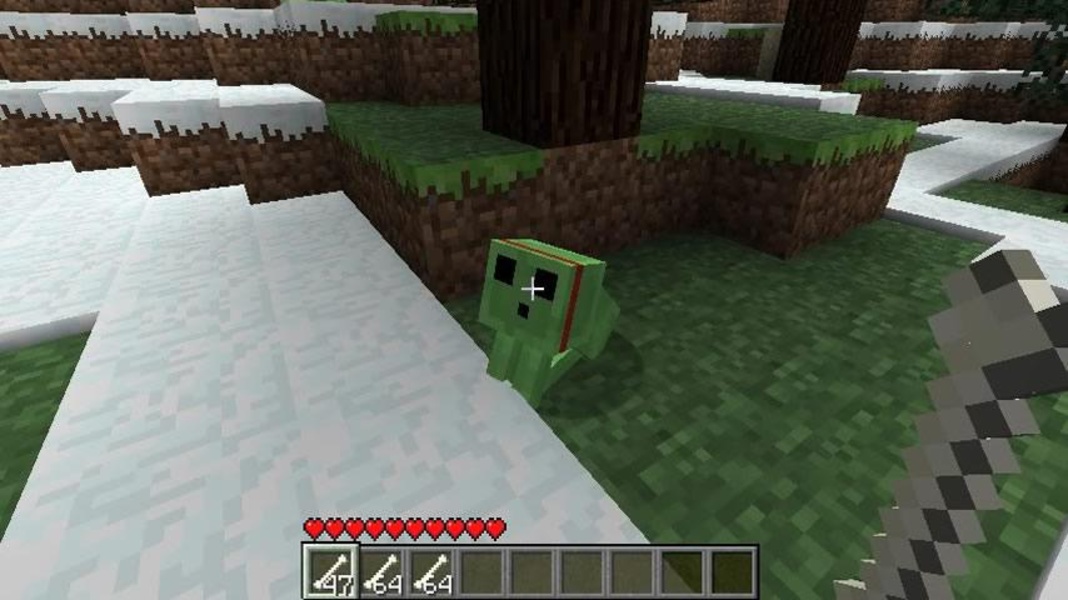 Pet Ideas - Minecraft - Preview 3