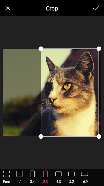POMELO Camera - Preview 8