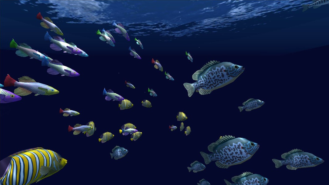 Fish Schooling - Preview 1