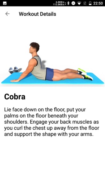 Home Workout without Equipment - Preview 6