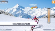 Slalom Ski Simulator screenshot 1
