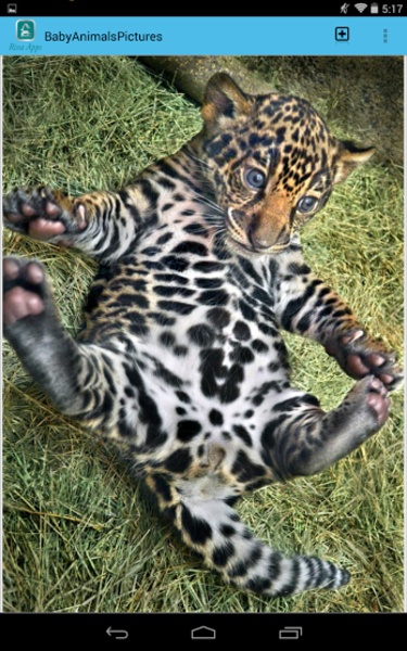 BabyAnimalsPictures - Preview 4