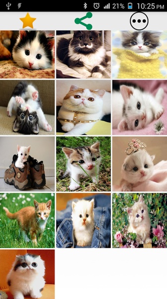 Cat Wallpapers Cute - Preview 8