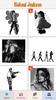 Michael Jackson - Pixel Art screenshot 8