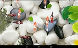 Koi Fish Live Wallpaper 3D screenshot 4