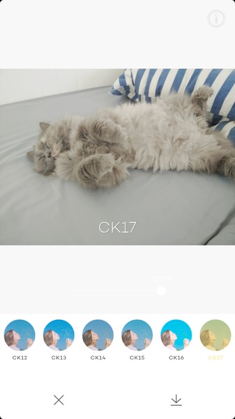 PICTAIL - Cykik - Preview 7