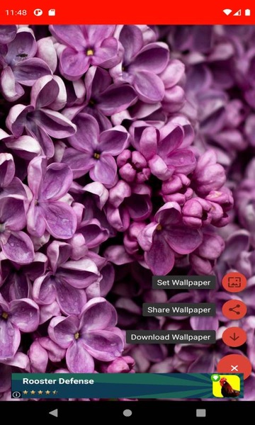 The most beautiful spring pictures around the world 4K - Preview 2
