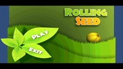 Balance Ball 3D-Rolling Seed screenshot 4