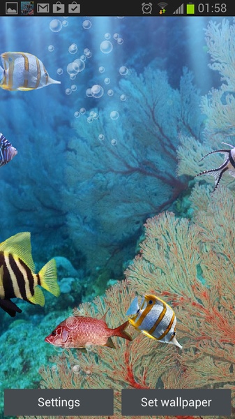 The real aquarium - HD - Preview 5