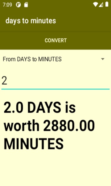 days to minutes converter - Preview 4