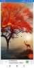 Deer Wallpapers: HD Images,Free Pics download screenshot 1
