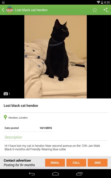 Gumtree - Preview 5