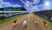 Wild Greyhound Dog Racing screenshot 2