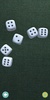 Real Dice screenshot 2