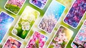 Spring Wallpapers 4K screenshot 6