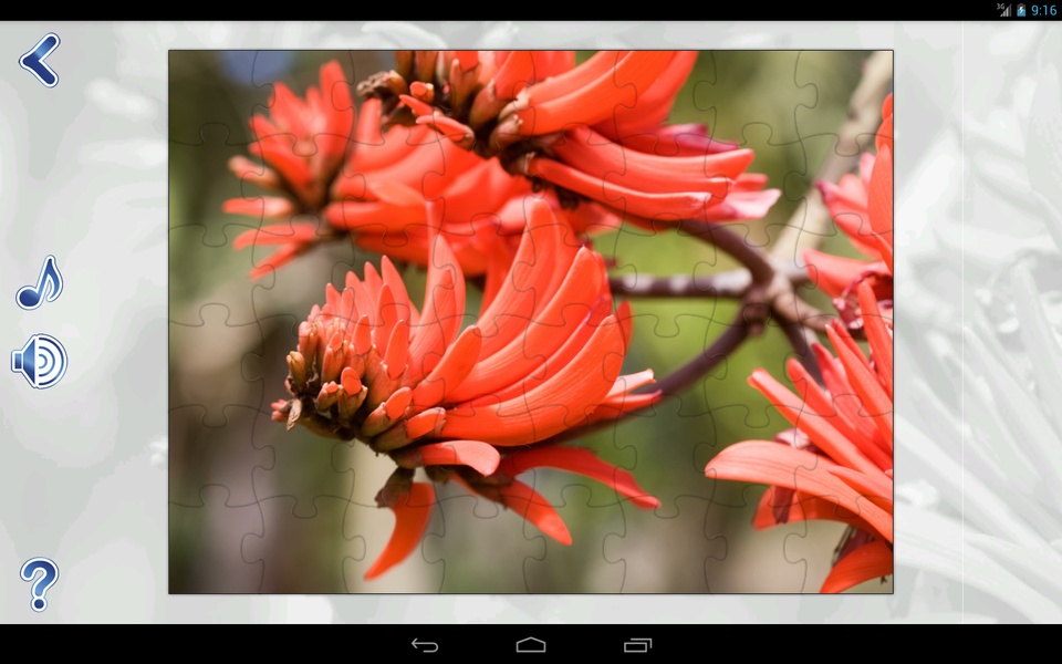 Jigsaw Puzzles Nature - Preview 11