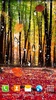 Autumn Landscape Live Wallpaper screenshot 7