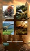 Dinosaurs Puzzles screenshot 4