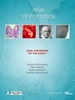 Atlas of Proctology screenshot 8