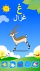العربية الابتدائية حروف ارقام screenshot 5