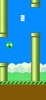 Flappy Piggies screenshot 1