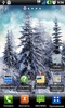 Frozen Window Wallpapers screenshot 4