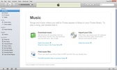 iTunes Portable screenshot 4