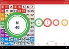 Bingo Caller screenshot 7