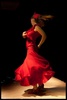 Flamenco Radio screenshot 6