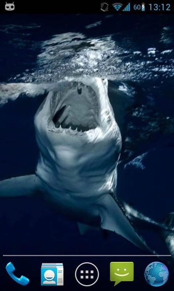 Magic Touch Shark Attack - Preview 2