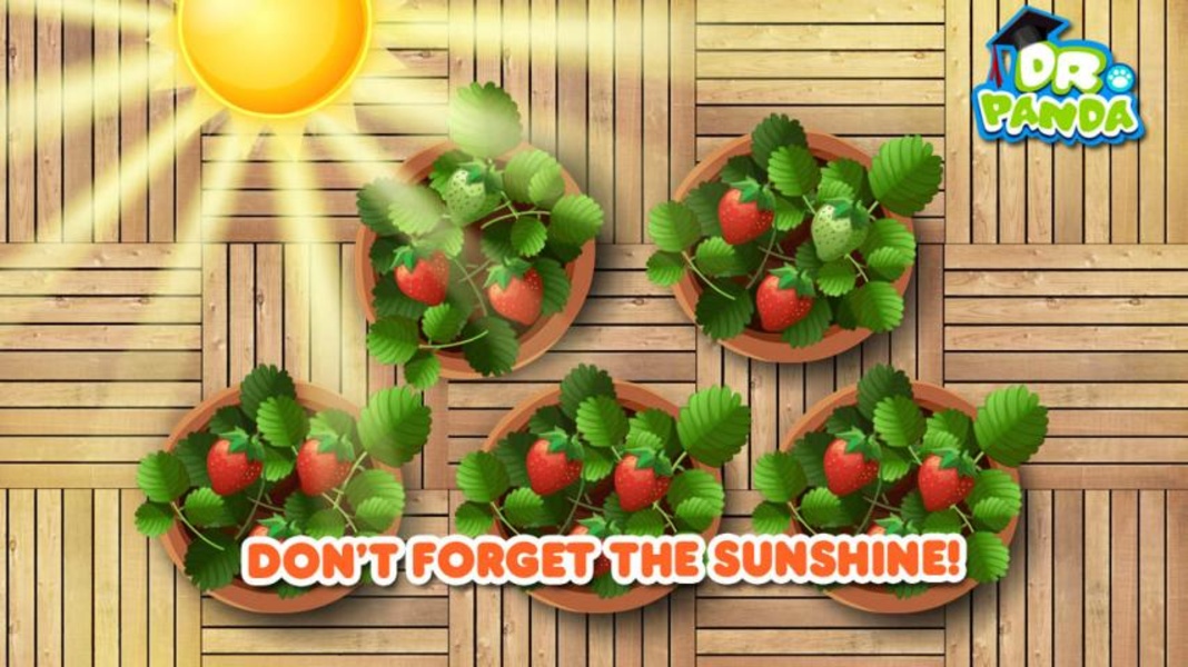 Veggie Garden Free - Preview 4