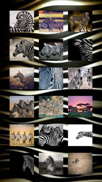 Zebra Wallpapers - Preview 11