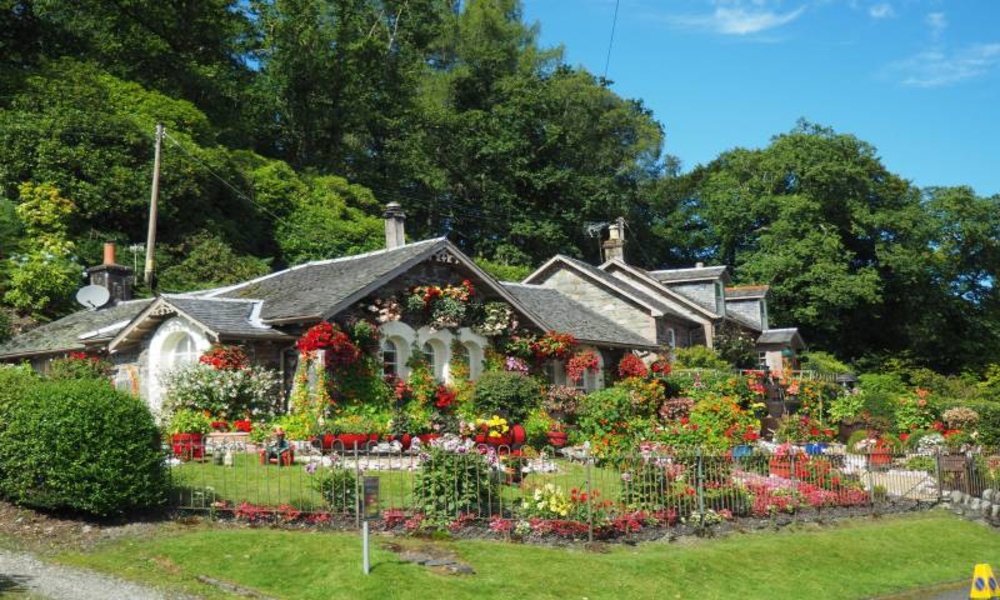 The most beautiful roses and flowers inside the gardens and gardens - Preview 4