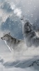Galaxy ice wolf live wallpaper screenshot 4