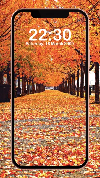 Fall Wallpaper 4K - Preview 3
