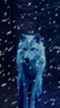 Galaxy ice wolf live wallpaper screenshot 6