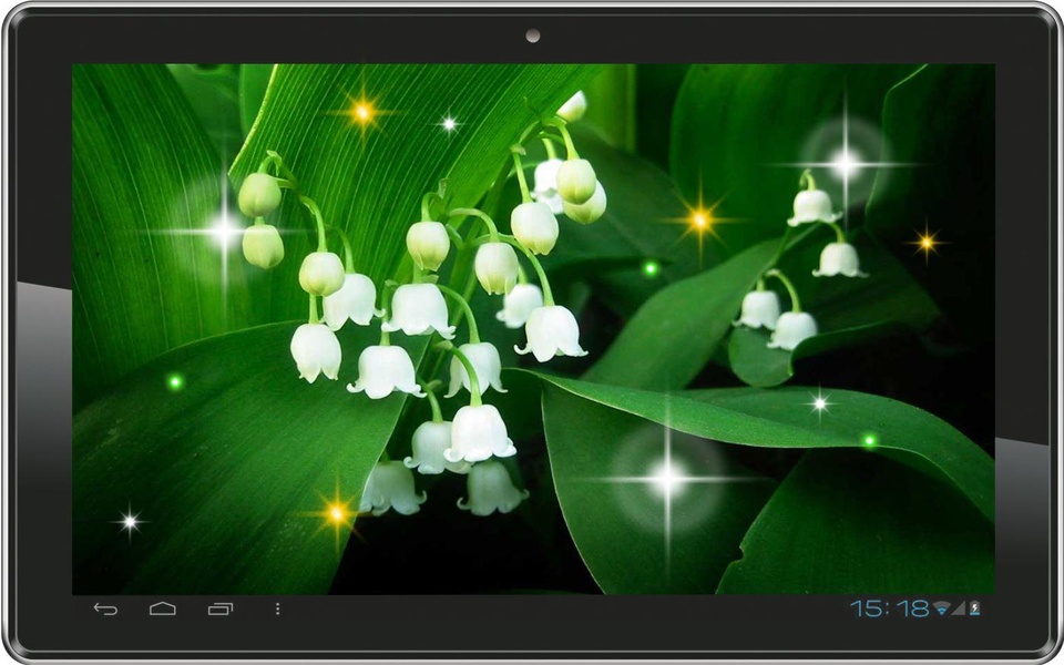 Springs Lilies Flowers - Preview 4
