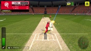 Big Bash Cricket screenshot 8