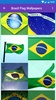 Brazil Flag Wallpaper: Flags and Country Images screenshot 8