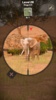 Animal Hunter: Wild Shooting screenshot 10