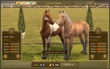 Jumping Horses Champions 3 screenshot 4