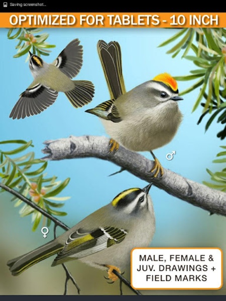 iBird Lite - Preview 8