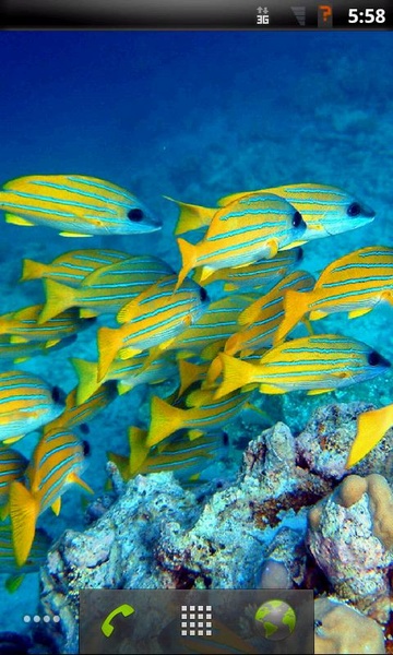 Tropical Fish Live Wallpaper - Preview 2