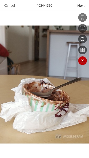 Wigglegram - Preview 6