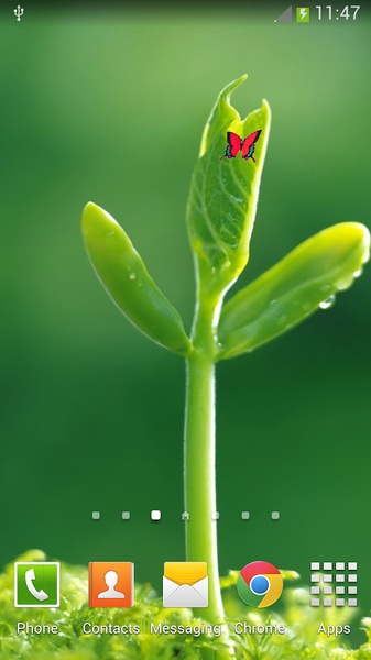 Green - Preview 5