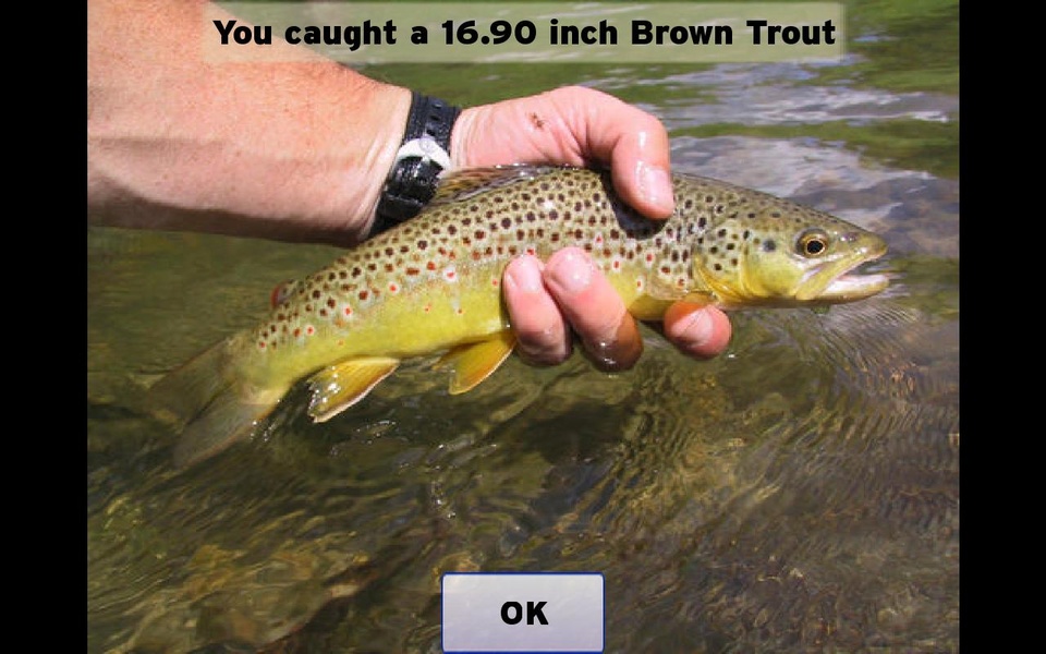 Fly Fishing Simulator - Preview 1