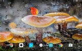 Mushrooms Live Wallpaper screenshot 2