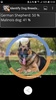 Identify Dog Breeds Pro screenshot 4